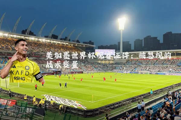 美加墨世界杯观赛证件：被忽视的战术变量